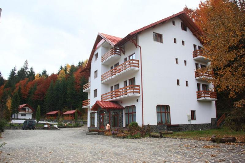 Hotel Paltinis Statiunea Dış mekan fotoğraf